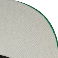 Mitchell & Ness Snapback-1998 Draft Pro Strapback Hwc Boston Celtics