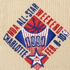 Mitchell & Ness Fitted-2 Tone Team Cord Fitted Hwc Charlotte Hornets