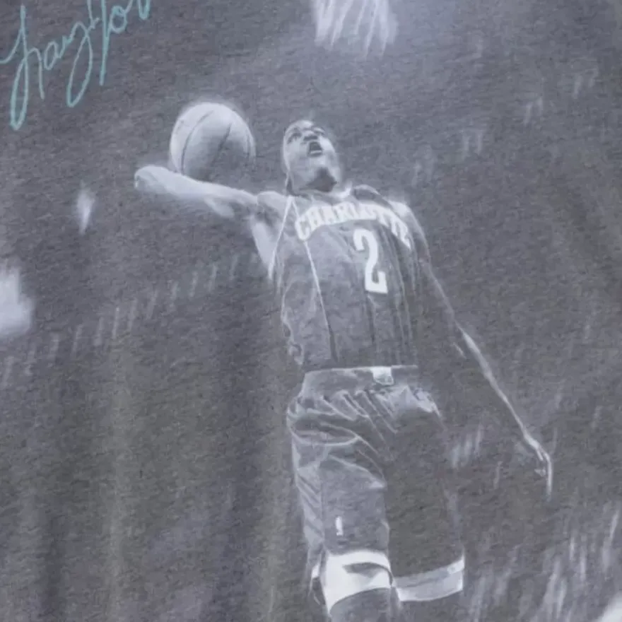 Mitchell & Ness T-Shirts & Tops-Above The Rim Sublimated Ss Tee Charlotte Hornets Larry Johnson
