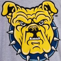 Mitchell & Ness T-Shirts & Tops-Aggie Pride Longsleeve North Carolina A&T University