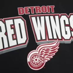 Mitchell & Ness Hoodies & Sweatshirts-All Over Crew 2.0 Detroit Red Wings