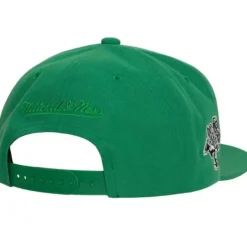 Mitchell & Ness Snapback-Alternate Flip Snapback Vancouver Canucks