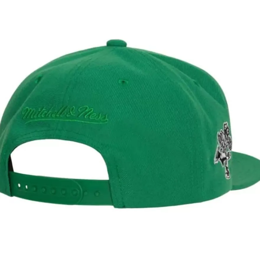 Mitchell & Ness Snapback-Alternate Flip Snapback Vancouver Canucks
