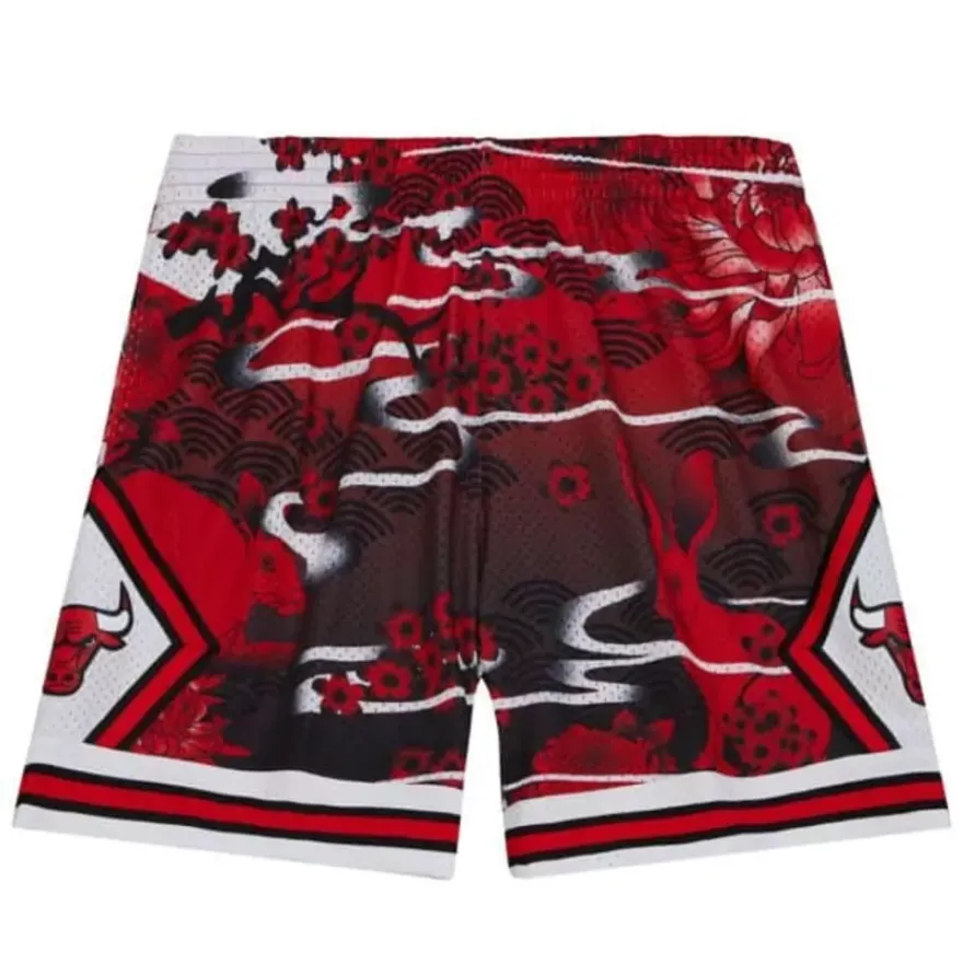 Mitchell & Ness Shorts-Asian Heritage Swingman Chicago Bulls 1997 Shorts 5.0