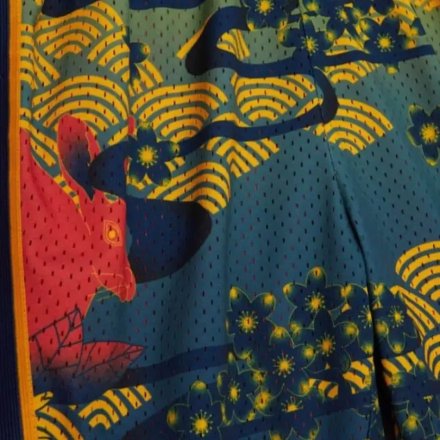 Mitchell & Ness Shorts-Asian Heritage Swingman Golden State Warriors 2009 Shorts 5.0