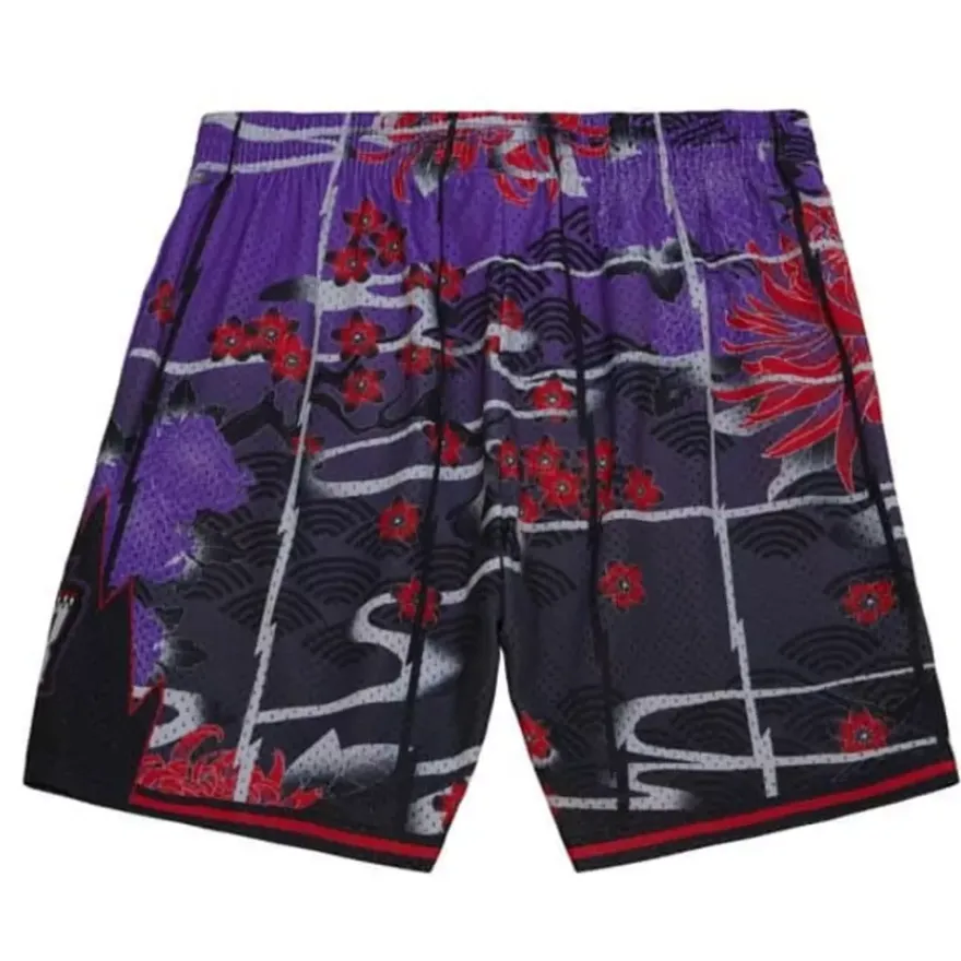 Mitchell & Ness Shorts-Asian Heritage Swingman Toronto Raptors 1998 Shorts 5.0
