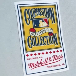 Mitchell & Ness Mlb Authentic-Authentic Bo Jackson Chicago White Sox Road 1993 Jersey