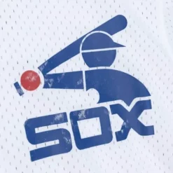 Mitchell & Ness Mlb Authentic-Authentic Carlton Fisk Chicago White Sox 1981 Pullover Jersey