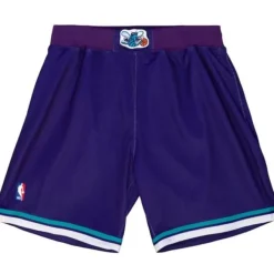 Mitchell & Ness Shorts-Authentic Charlotte Hornets Alternate 1994-95 Shorts