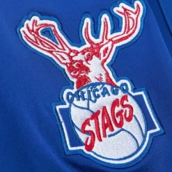 Mitchell & Ness Shorts-Authentic Chicago Bulls Hwc 2005-06 Shorts