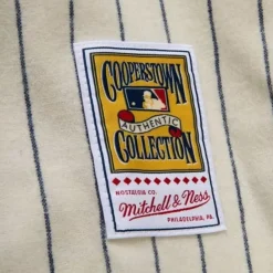 Mitchell & Ness Mlb Authentic-Authentic Chicago White Sox Home 1919 Jersey