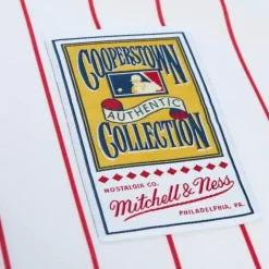 Mitchell & Ness Mlb Authentic-Authentic Darren Daulton Philadelphia Phillies Home World Series 1993 Jersey