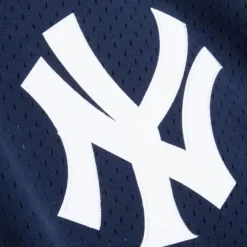 Mitchell & Ness Mlb Authentic-Authentic Derek Jeter New York Yankees 1995 Pullover Jersey