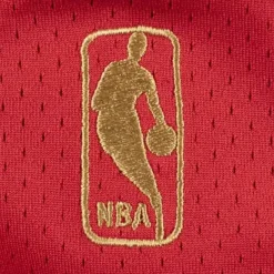 Mitchell & Ness Nba Authentic-Authentic Jersey Chicago Bulls 1996-97 Michael Jordan