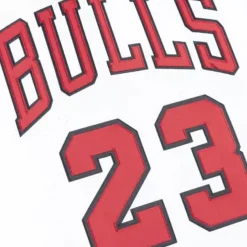Mitchell & Ness Nba Authentic-Authentic Jersey Chicago Bulls Home 1995-96 Michael Jordan