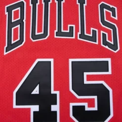 Mitchell & Ness Nba Authentic-Authentic Jersey Chicago Bulls 1994-95 Michael Jordan