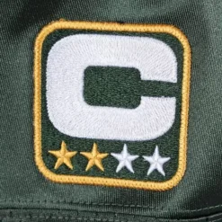 Mitchell & Ness Nfl Authentic-Authentic Jersey Green Bay Packers Super Bowl 2010 Charles Woodson