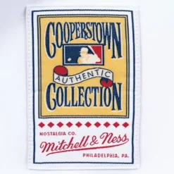 Mitchell & Ness Mlb Authentic-Authentic Jersey Los Angeles Dodgers Home 1981 Fernando Valenzuela