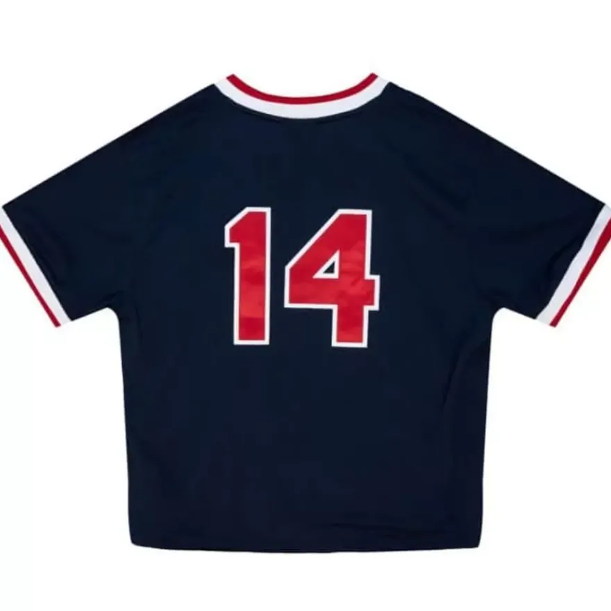 Mitchell & Ness Mlb Authentic-Authentic Jim Rice Boston Red Sox 1989 Pullover Jersey