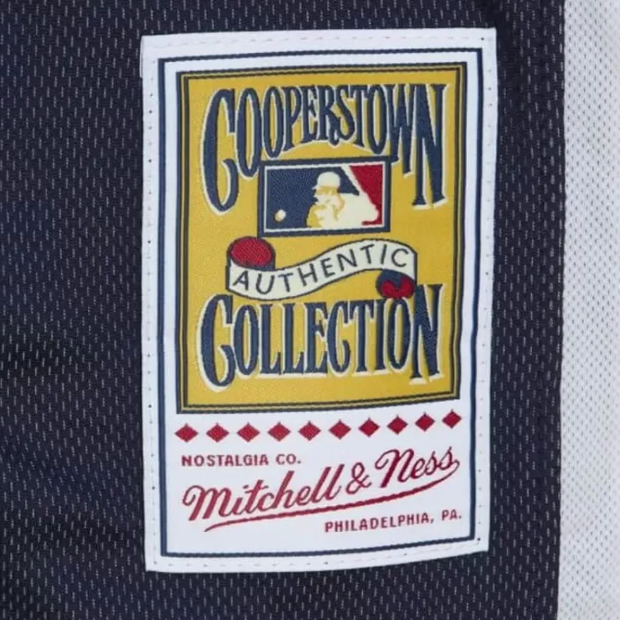 Mitchell & Ness Mlb Authentic-Authentic Ken Griffey Jr Seattle Mariners 2010 Bp Jersey