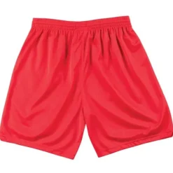 Mitchell & Ness Shorts-Authentic Practice Shorts All-Star 1991