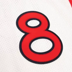 Mitchell & Ness Nba Authentic-Authentic Scottie Pippen Team Usa Mens 1996-97 Jersey