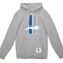Mitchell & Ness Hoodies & Sweatshirts-Basic Logo 1 Hoodie Detroit Lions