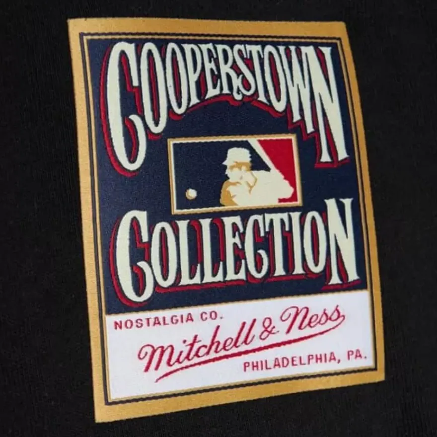 Mitchell & Ness T-Shirts & Tops-Batter Up Ls Tee Pittsburgh Pirates Roberto Clemente