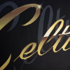 Mitchell & Ness T-Shirts & Tops-Big Face 4.0 Fashion Tank Boston Celtics