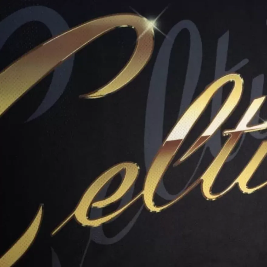 Mitchell & Ness T-Shirts & Tops-Big Face 4.0 Fashion Tank Boston Celtics