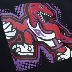 Mitchell & Ness Hoodies & Sweatshirts-Big Face 7.0 Hoodie Toronto Raptors