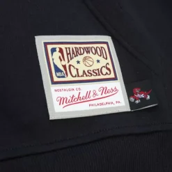 Mitchell & Ness Hoodies & Sweatshirts-Big Face 7.0 Hoodie Toronto Raptors