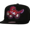 Mitchell & Ness Snapback-Big Face 7.0 Snapback Hwc Toronto Raptors