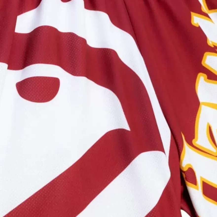 Mitchell & Ness Shorts-Big Face Fashion Shorts 5.0 Atlanta Hawks