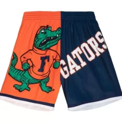 Mitchell & Ness Shorts-Big Face Fashion Shorts 5.0 University Of Florida