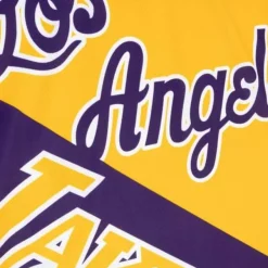 Mitchell & Ness T-Shirts & Tops-Big Face Fashion Tank 5.0 Los Angeles Lakers