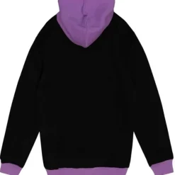 Mitchell & Ness Hoodies & Sweatshirts-Big Face Hoodie 5.0 Toronto Raptors