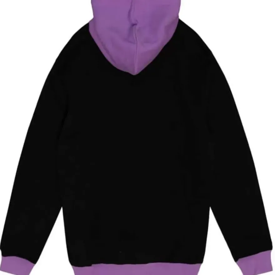 Mitchell & Ness Hoodies & Sweatshirts-Big Face Hoodie 5.0 Toronto Raptors