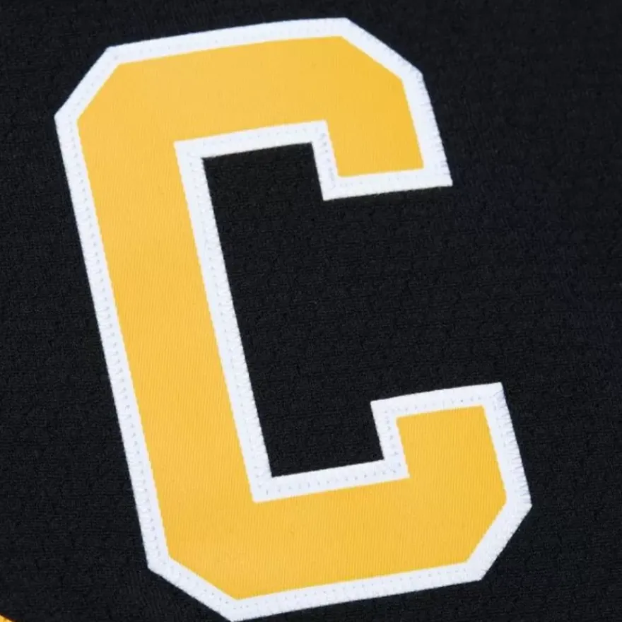 Mitchell & Ness Nhl Blue Line-Blue Line Ray Bourque Boston Bruins Dark 1989 Jersey