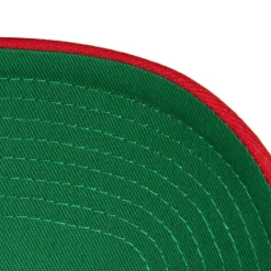 Mitchell & Ness Snapback-Boom Text Pro Snapback Hwc Toronto Raptors