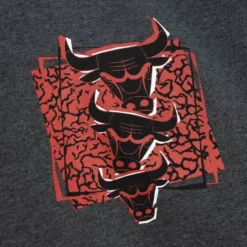 Mitchell & Ness Hoodies & Sweatshirts-Born And Bred Crew Chicago Bulls