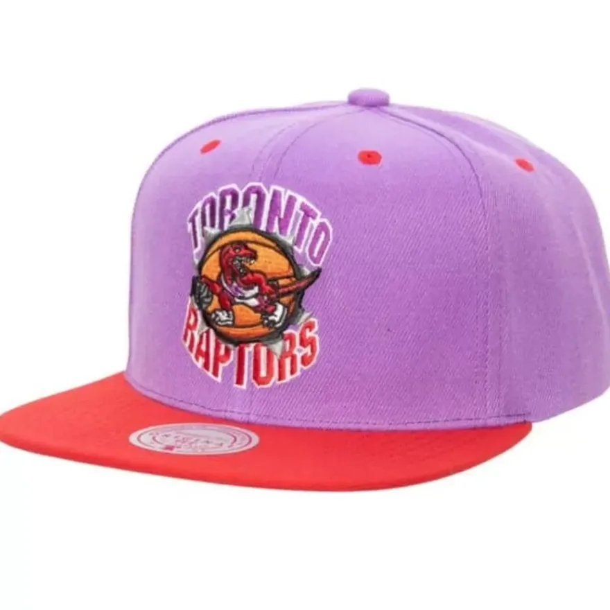 Mitchell & Ness Snapback-Breakthrough Snapback Hwc Toronto Raptors