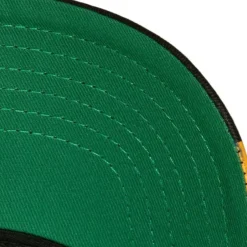Mitchell & Ness Snapback-Brushed Past Ya Pro Snapback Hwc Seattle Supersonics