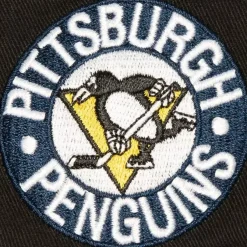 Mitchell & Ness Snapback-Brushed Past Ya Pro Snapback Vntg Pittsburgh Penguins