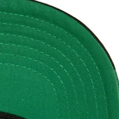 Mitchell & Ness Snapback-Brushed Past Ya Pro Snapback Boston Celtics