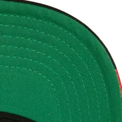 Mitchell & Ness Snapback-Brushed Past Ya Pro Snapback Chicago Bulls