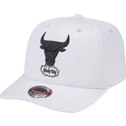 Mitchell & Ness Snapback-Casper Stretch Precurve Snapback Chicago Bulls