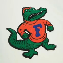 Mitchell & Ness Hoodies & Sweatshirts-Chainstitch Heavyweight Hoodie Retro University Of Florida