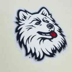 Mitchell & Ness Hoodies & Sweatshirts-Chainstitch Heavyweight Hoodie Retro University Of Connecticut