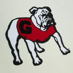 Mitchell & Ness Hoodies & Sweatshirts-Chainstitch Heavyweight Hoodie Retro University Of Georgia